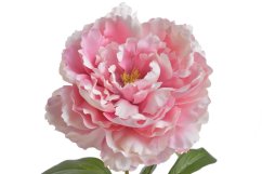 Umělá pivoňka na stonku, hlavička Ø15cm/dl.68cm