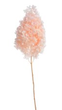 Stabilizovaná hortenzie latnatá světle růžová 18–24 cm – přírodní květ