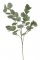 Větvička umělého eukalyptu populus  dl.90cm_03