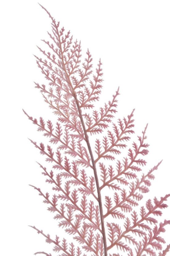 Umělý barvený list kapradí, dl. 57cm_19