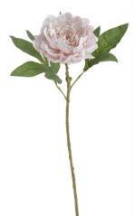 Umělá pivoňka na stonku, hlavička Ø12cm/dl.56cm