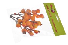 Podzimní dekorace větvičky šípku, šípek Ø 2cm, 13cm zápich  - 3 kusy