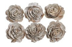 Přírodní dekorace  květy z Shola deco rose Ø 8cm - 6ks