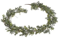 Girlanda umělého buksusu dl. 180cm
