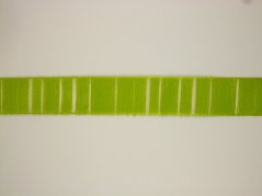 Jednobarevná tkaná stuha s monofilem a vlascem 2,5cm/25m