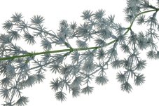 Dekorace umělá chvojová girlanda dl.175cm