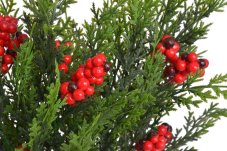 Umělá jehličnatá větvička s bobulemi 45 cm