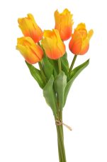 Tulipán papouščí 5 ks ve svazku s listy, 32 cm, barva 22