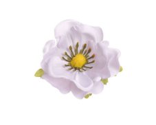 Hlavička umělé anemone - sasanky, hlavička Ø 6cm - 12ks