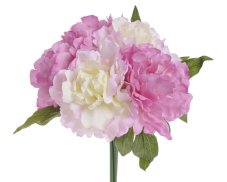 Svazek umělých pivoňek dl. 25cm - 5 ks