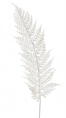 Umělý barvený list kapradí, dl. 57cm_01