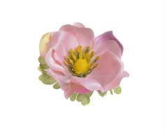 Hlavička umělé anemone - sasanky, hlavička Ø 6cm - 12ks