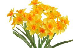 Kytice umělých narcisek - 7 stonků/35 květů, květ 5cm dl. celkem 40cm