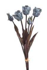 Tulipán papouščí svazek x 5, 45 cm