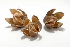 Přírodní materiál lily 7 - 9 cm - 20ks