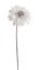 Umělá květina z pěny, květ Ø 22cm, dl. 78cm