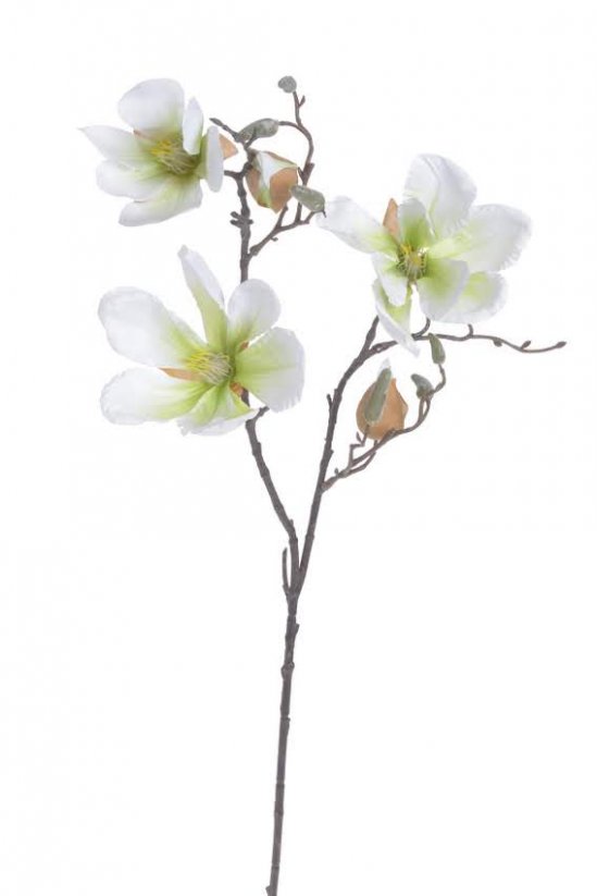 Umělá magnolie s listy - 3 květy Ø 18cm a 2 poupata dl. celkem  86cm