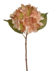 Květ hortenzie na stonku s listy - květ Ø 14 cm, dl. 36 cm