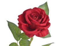 Umělá kvetoucí velvetová růže , hlavička Ø 8 cm, dl. 71 cm