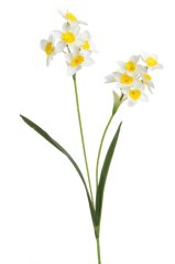 Umělá jarní květina narcis 2 stonky 6 věty a poupata dl. 54cm