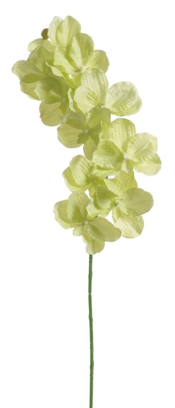 Lata umělé orchideje Wandy dl. 98cm - Barva: Zelená jarní