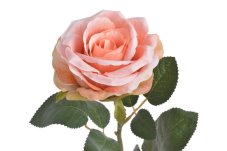 Umělá rozkvetlá růže, hlavička Ø 8cm/celkem dl. 58cm