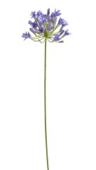 Umělá květina kvetoucí agapantus dl. 72cm