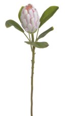 Umělý květ protea na stonku, květ 9cm/dl.67cm