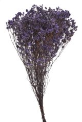 Svazek preparovaného Crystal Grass 120g PURPLE