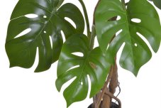 Dekorace umělá monstera v květináči Ø 15cm, celkem 140cm