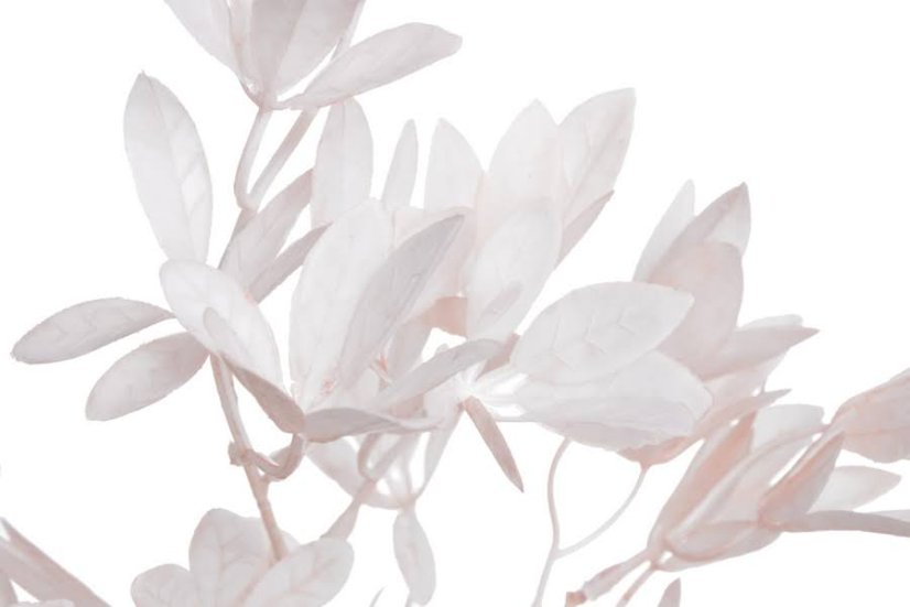 Umělá rostlina - větvička azalky s listy dl. 85cm_08