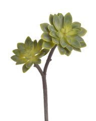 Umělé sukulenty na stonku Eonium x2 dl. 29cm
