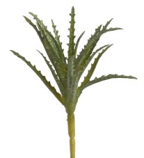 Umělý sukulent aloe H18cm