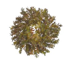 Plastový věnec z umělého buksusu Ø 27cm