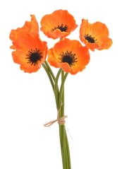 Svazek květů anemone na stonku dl. 29cm - 5 ks