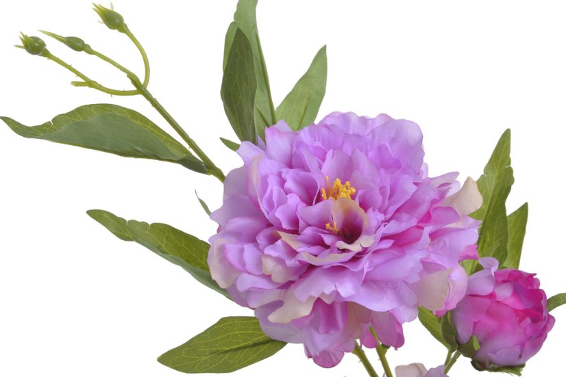 Umělá pivoňka s 2květy a poupětem, květ Ø12cm/ celková dl.89cm