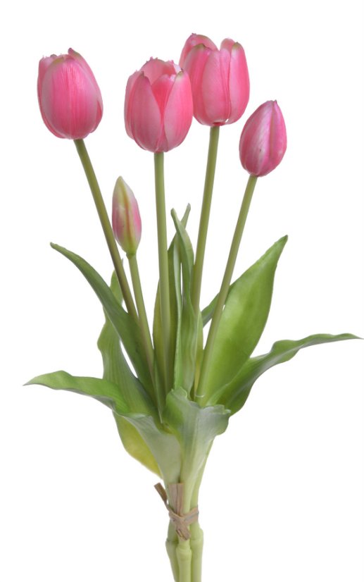 Svazek plastových tulipánů, hlavička 5cm, dl. celkem 40cm - 5 kusů