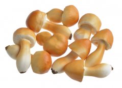 Plastové houby na aranžování 5 - 6 cm -  9ks
