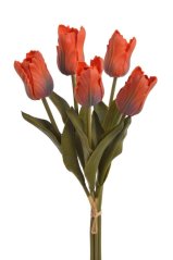 Tulipán papouščí 5 ks ve svazku s listy, 32 cm, barva 05