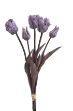 Tulipán papouščí svazek x 5, 45 cm