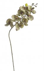 Lata umělé orchideje 8 květů 7cm/dl.75cm