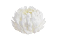Květ chryzantémy umělý Ø 10 cm – bílý, 6 ks