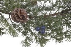 Umělá girlanda z chvojí se šiškami a kuličkami dl. 183cm