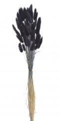 Přírodní sušený,bělený/barvený lagurus dl. 60cm BLACK
