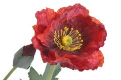 Umělý kvetoucí vlčí mák, květ Ø9cm, dl. celkem 68cm