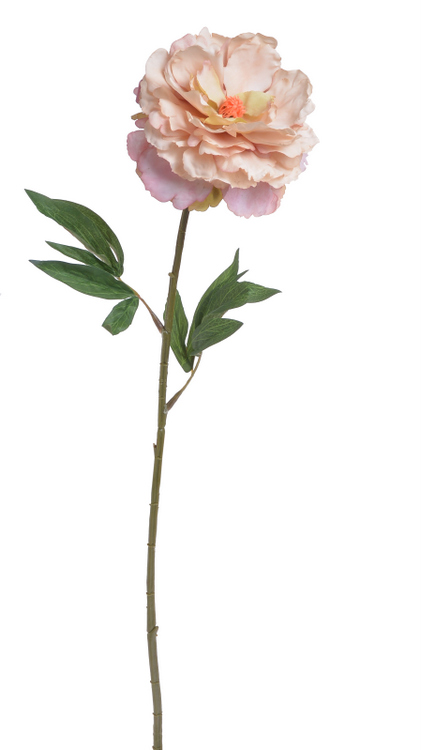 Květ rozkvetlé pivoňky na dlouhém stonku dl. 96cm_5398