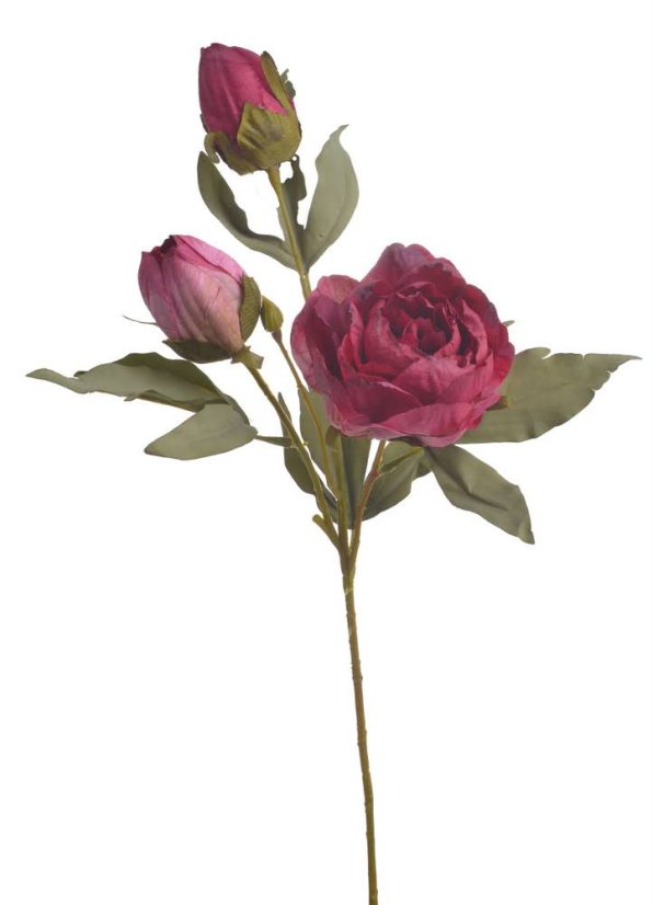 Umělá pivoňka na stonku s listy a poupaty, květ Ø 9 cm, dl. 55cm