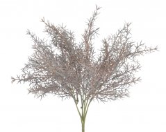 Asparágus, 36 cm, 7 větviček, barva_157