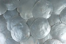 Přírodní dekorace capiz painted  200g