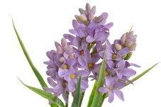 Jarní umělá květina Hyacint s listy dl. 31cm